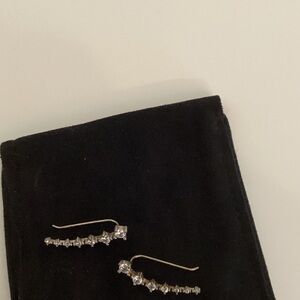 Elegant Silver Earrings